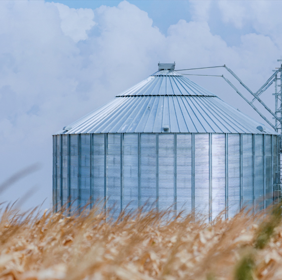 Khí quyển được kiểm soát (Granary)